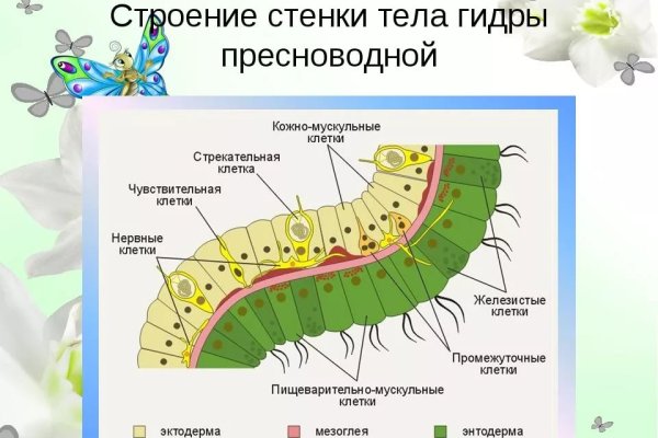 Как открыть ссылку с кракена