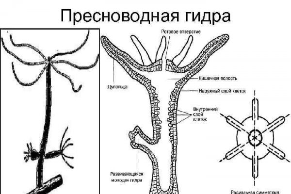 Kraken darknet market ссылка